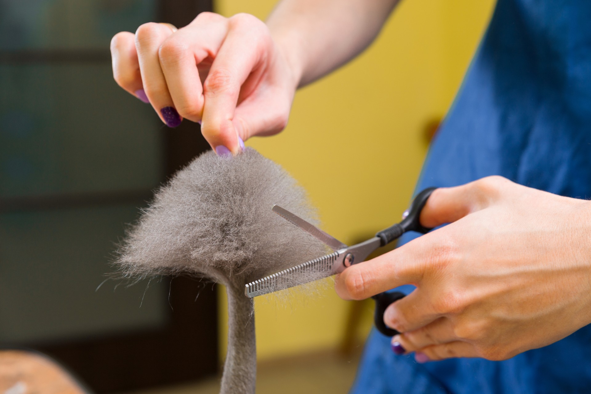 AdobeStock_159014452